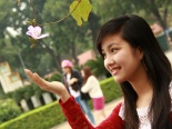 Hà Nội lung linh mùa hoa ban về